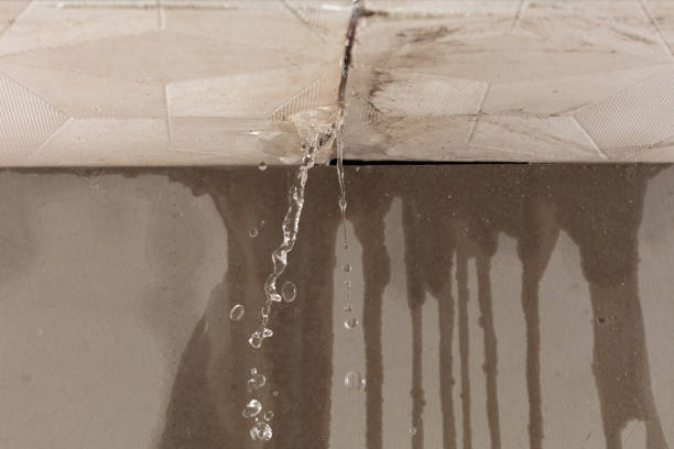 Professional Sewage Cleanup technician working in Albany, WI